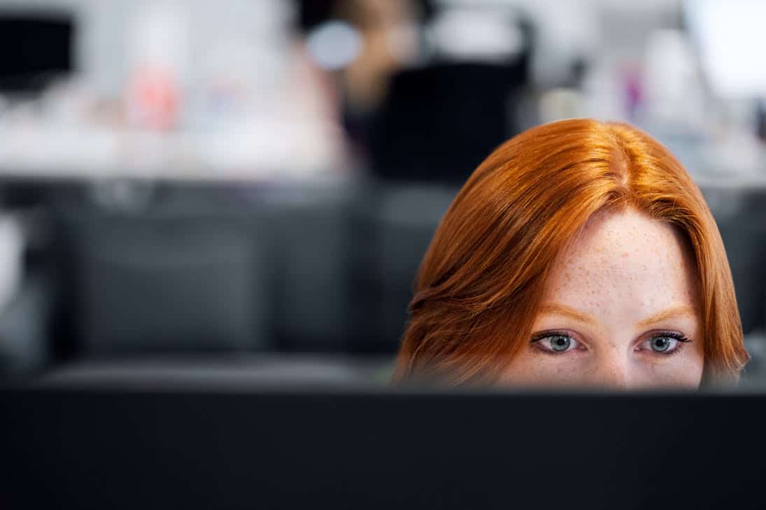 Lead Developer